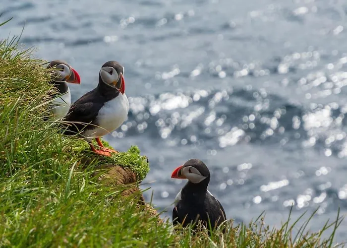Peaceful Retreat In The Norwegian Mountains *